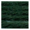 Sullivans Tapestry Wool, Anc/8992 Dmc/7540- 8m