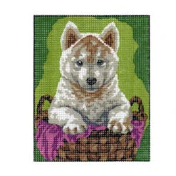 Sullivans Tapestry, Dog In Basket- 20x25cm